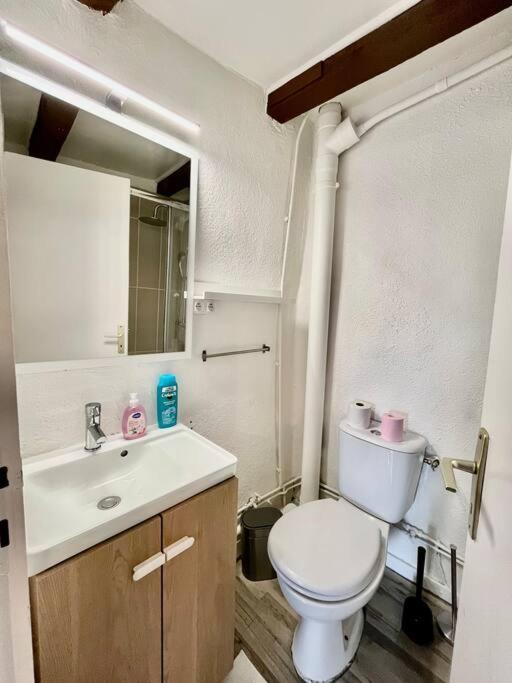 «studio 1 » Rue Huchette -dabnb Limoges